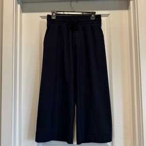 Albion Fit M Petite Navy Wide-Leg Cropped Pants like new